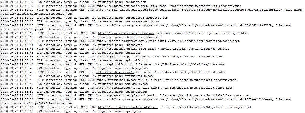 INetSim results of payload download